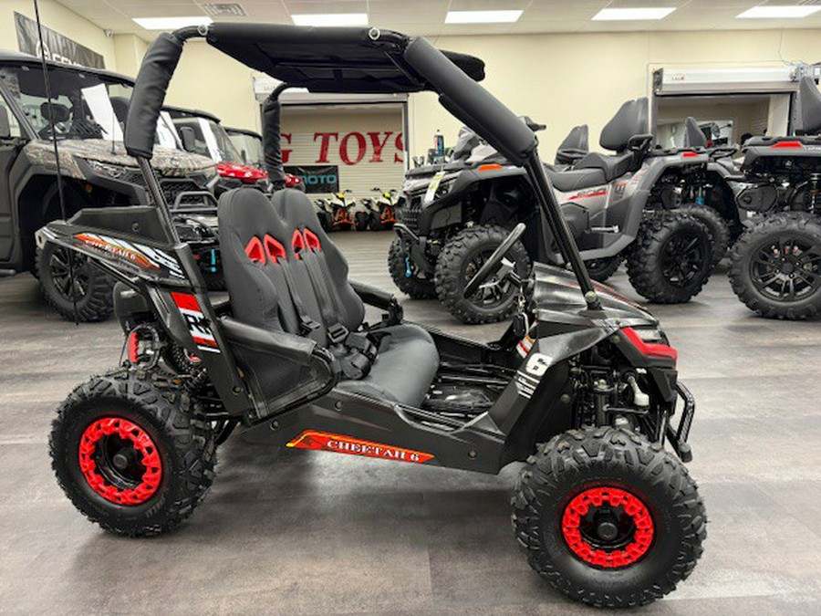 2025 TrailMaster Cheetah 6