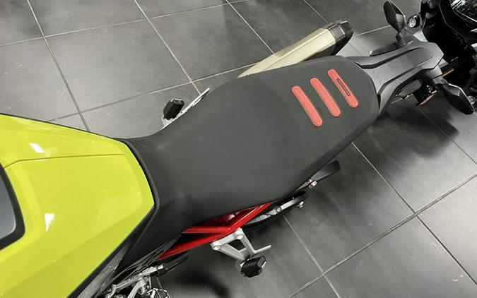 2025 BMW F 900 GS Passion