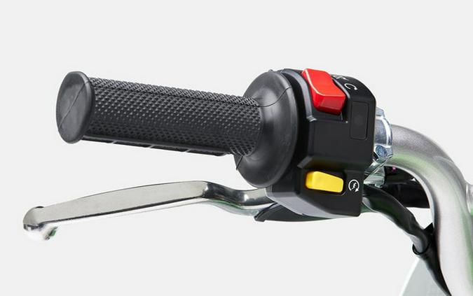 2026 Kawasaki KLX 110R L