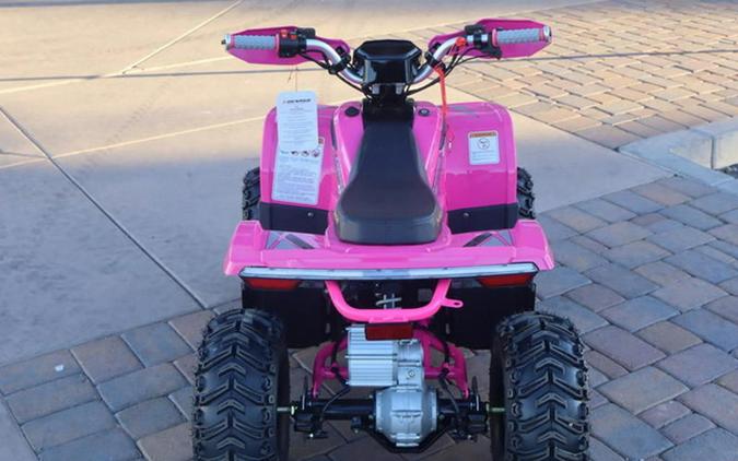 2026 Denago Powersports E-Hawk 6