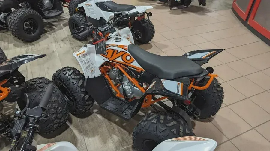 New 2024 KAYO PREDATOR 125