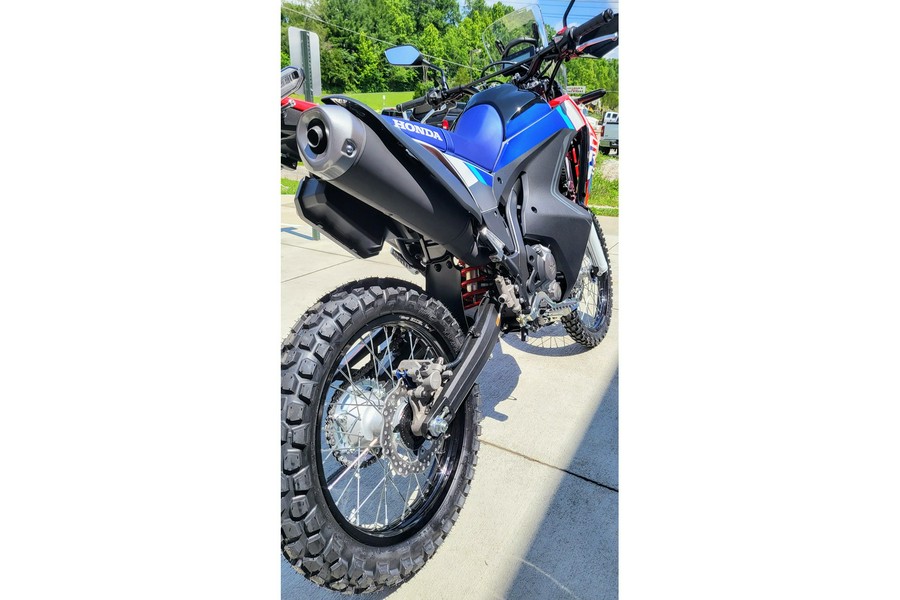 2025 Honda CRF300L RALLY
