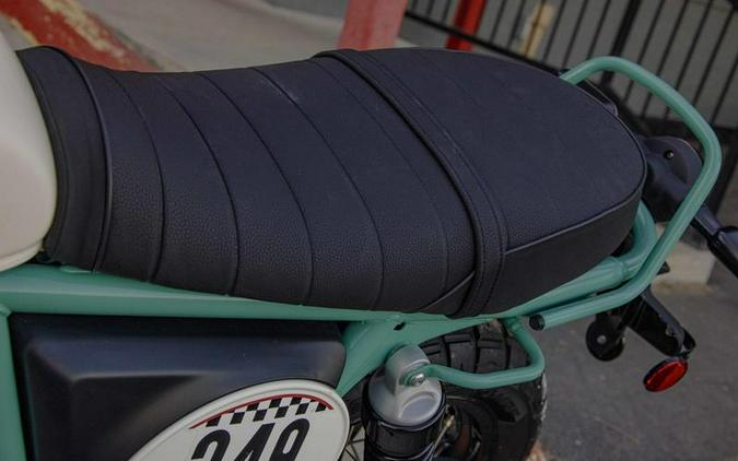 2025 Royal Enfield Bear 650 Two Four Nine