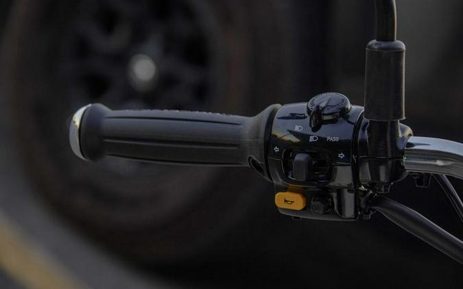 2025 Royal Enfield Bear 650 Two Four Nine