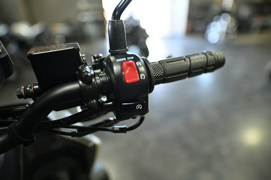 2025 Yamaha Zuma 125