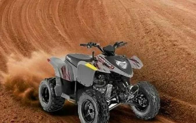 2022 Polaris® Phoenix 200