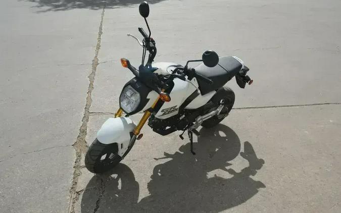 2026 HONDA GROM