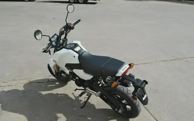 2026 HONDA GROM