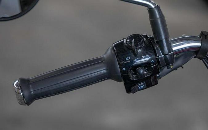 2025 Royal Enfield Goan 350