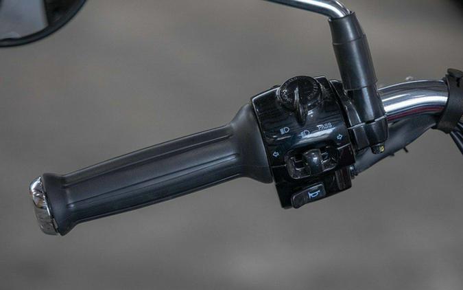 2025 Royal Enfield Goan 350