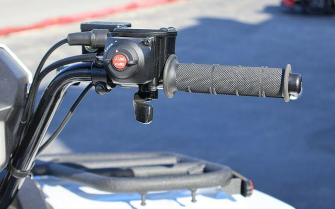 2025 Kawasaki Brute Force 450 4x4