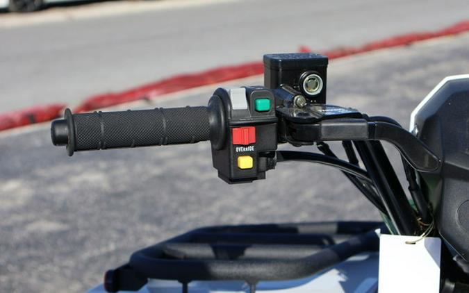 2025 Kawasaki Brute Force 450 4x4