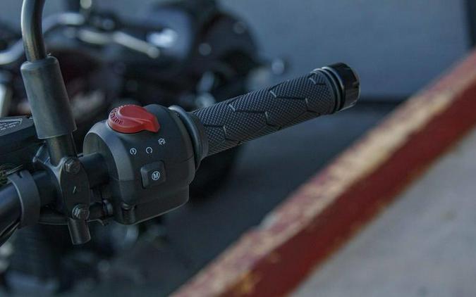 2025 Royal Enfield Himalayan 450 Slate Himalayan Salt