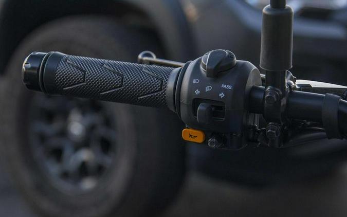 2025 Royal Enfield Himalayan 450 Slate Himalayan Salt