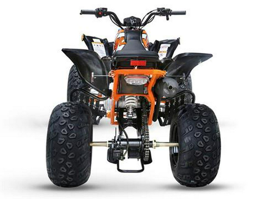 2024 Kayo Storm 180