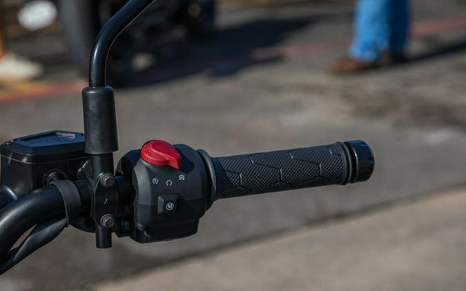 2025 Royal Enfield Himalayan 450 Slate Poppy Blue