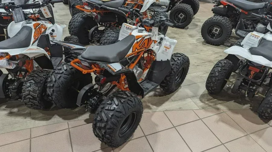 New 2024 KAYO PREDATOR 125