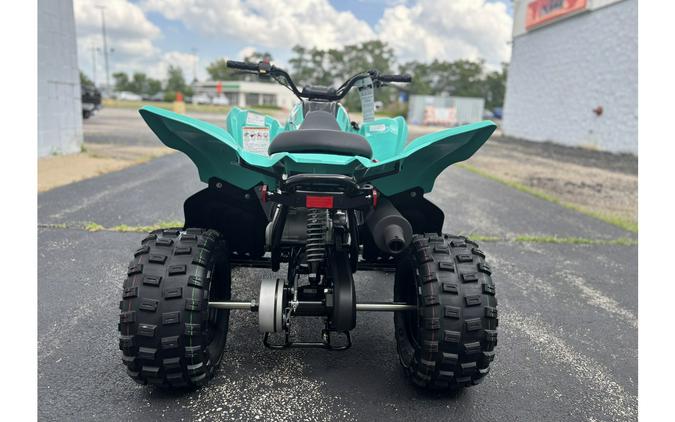 2025 Yamaha RAPTOR 110