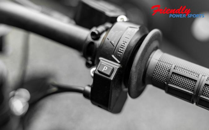 2026 E-RIDE PRO SS 3.0