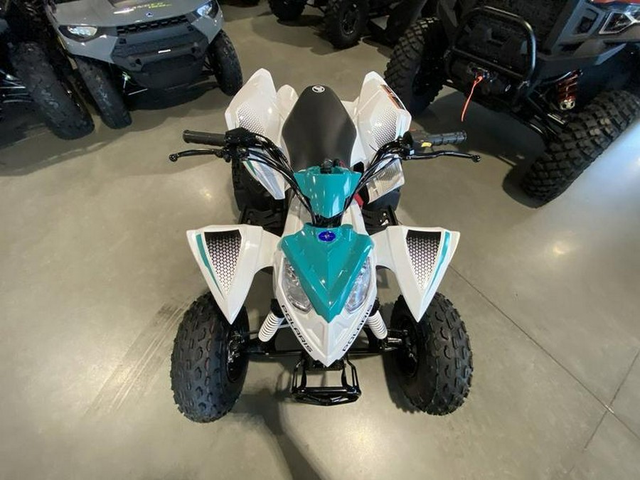 2025 Polaris® Outlaw 110 EFI