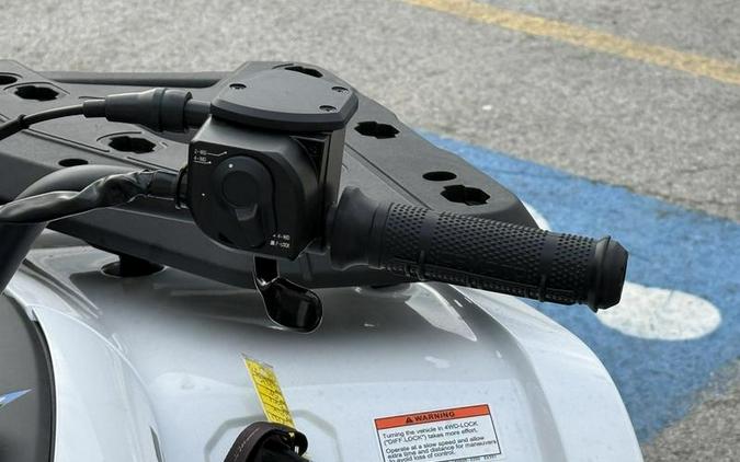 2026 CFMOTO CFORCE 500