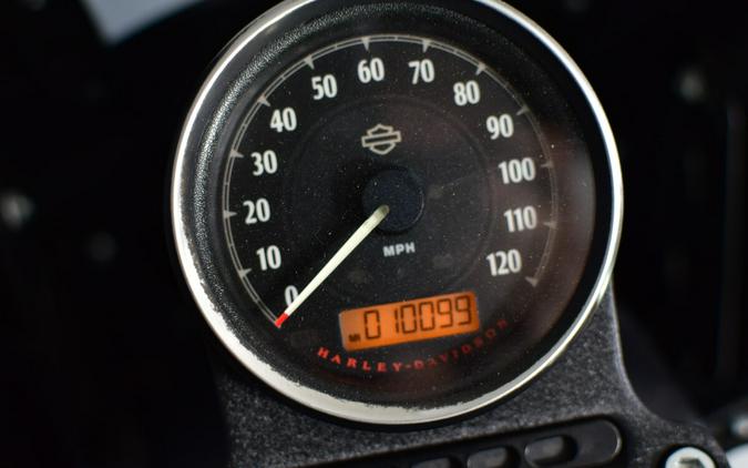 2022 Harley-Davidson Iron 883