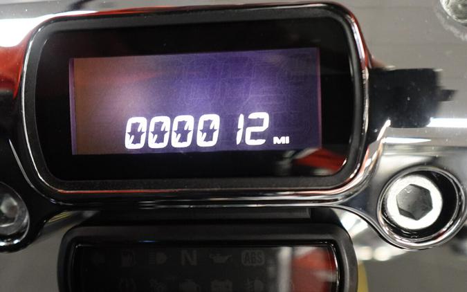 2024 Harley-Davidson Softail Standard