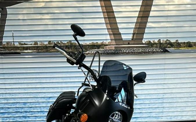 2023 Indian Chief Dark Horse Sagebrush Smoke