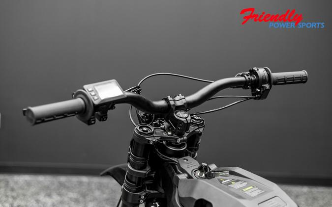 2026 E-RIDE PRO MINI R