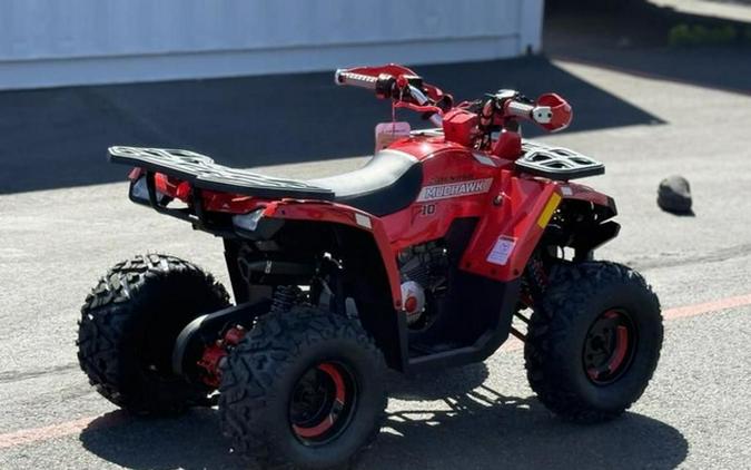 2026 Denago Powersports Mudhawk 10FI