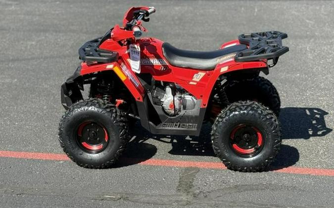 2026 Denago Powersports Mudhawk 10FI