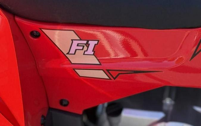 2026 Denago Powersports Mudhawk 10FI