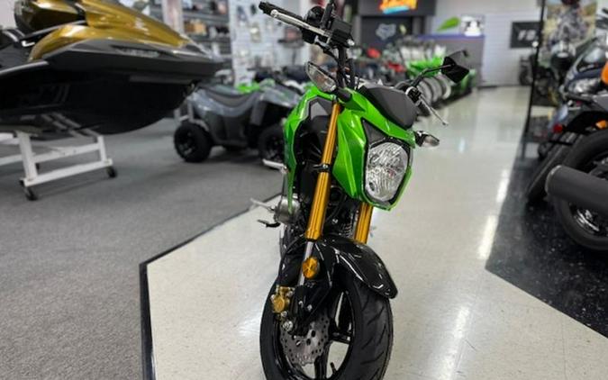 2024 Kawasaki Z125 PRO