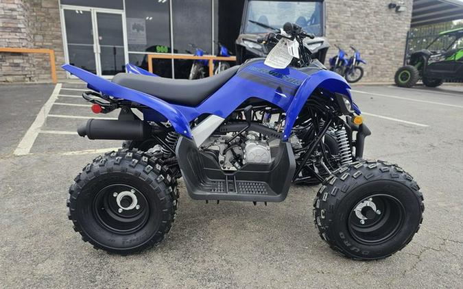 2025 Yamaha Raptor 110