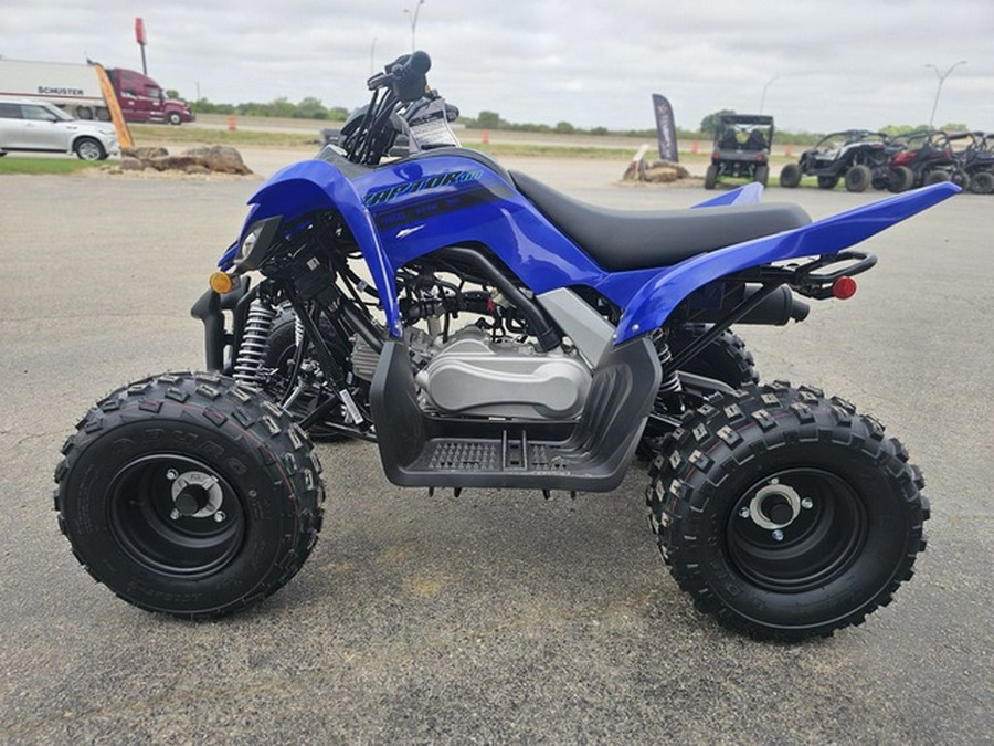 2025 Yamaha Raptor 110