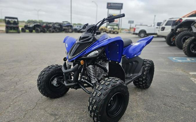 2025 Yamaha Raptor 110