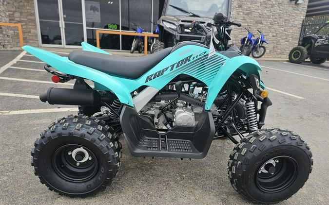 2025 Yamaha Raptor 110