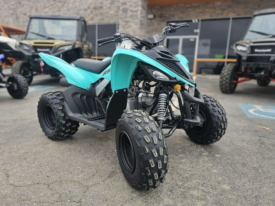 2025 Yamaha Raptor 110