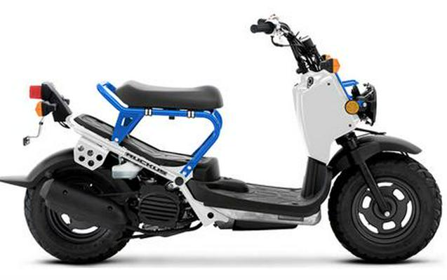 2022 Honda Ruckus