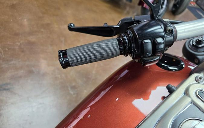 2009 Harley-Davidson Dyna FXDF - Fat Bob