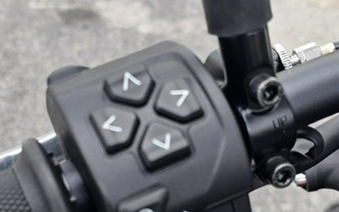 2025 Triumph Trident 660 Diablo Red/Sapphire Black 660