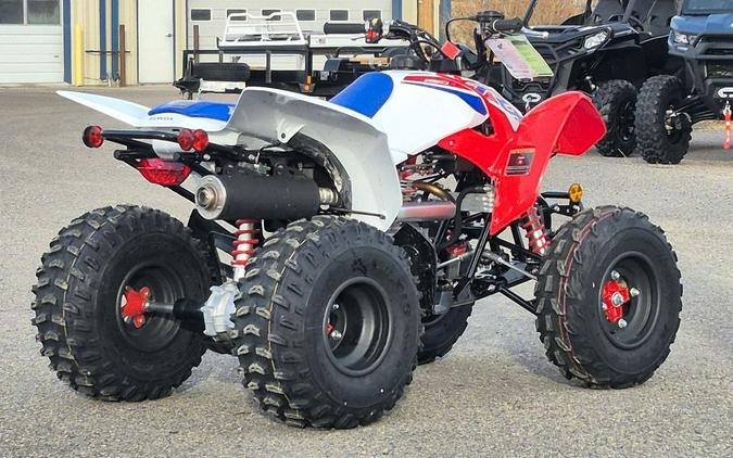 2026 Honda® TRX250X