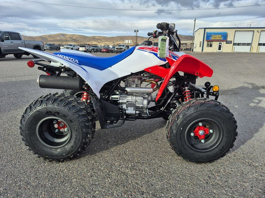 2026 Honda® TRX250X