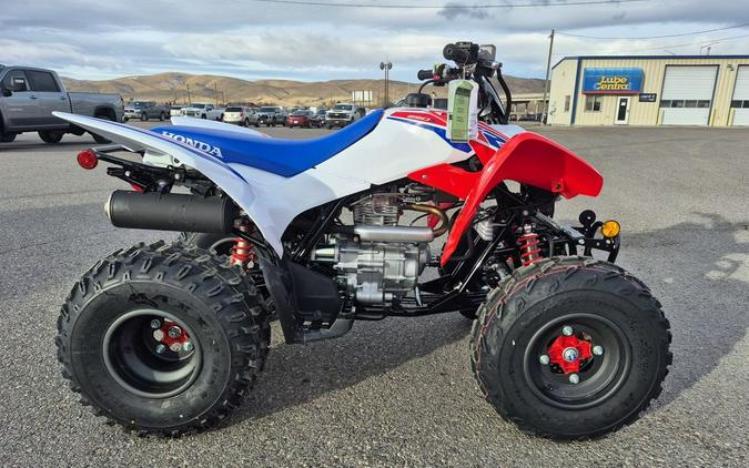 2026 Honda® TRX250X