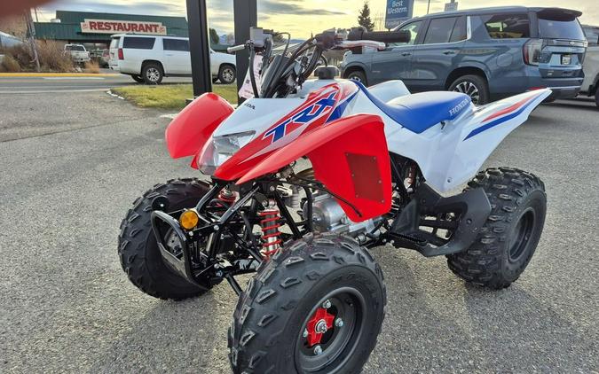 2026 Honda® TRX250X