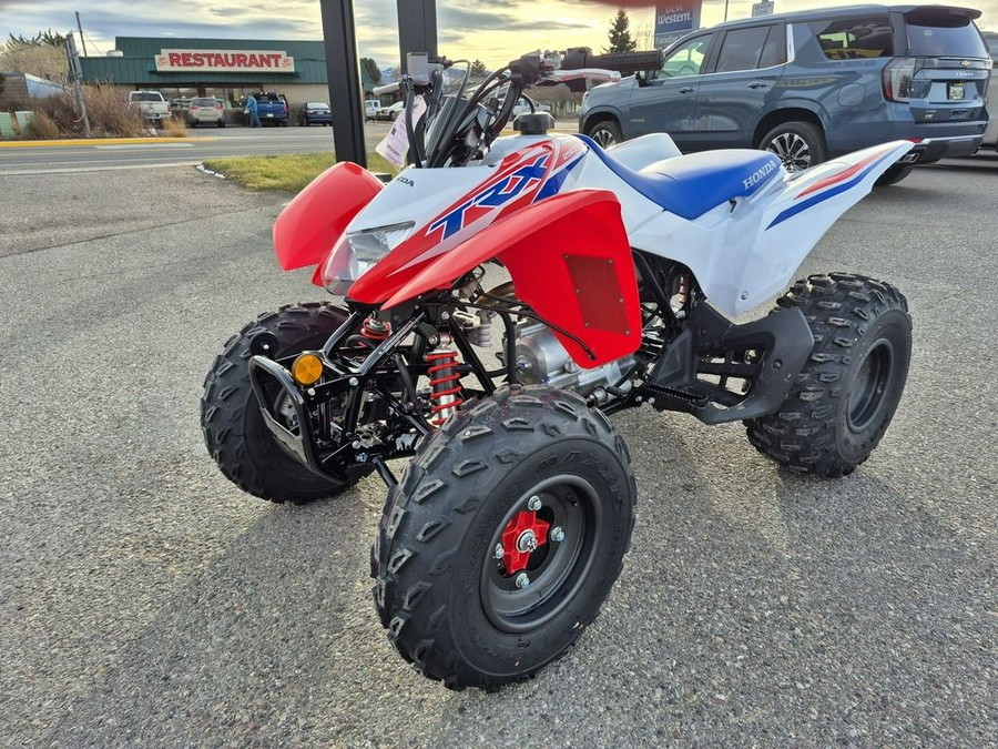 2026 Honda® TRX250X