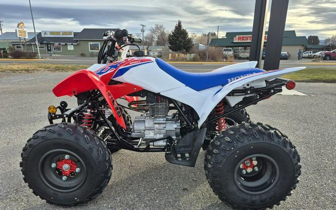 2026 Honda® TRX250X