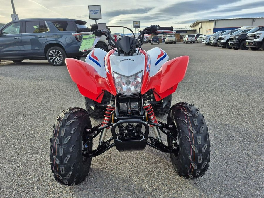 2026 Honda® TRX250X