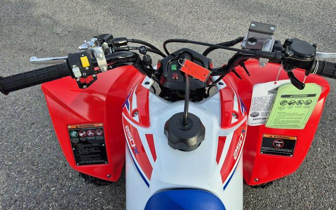 2026 Honda® TRX250X