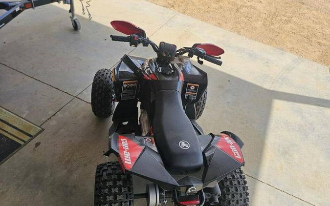 2024 Can-Am Renegade X xc 110 EFI